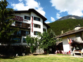 Гостиница Hotel Edelweiss & SPA, Чезана Торинезе